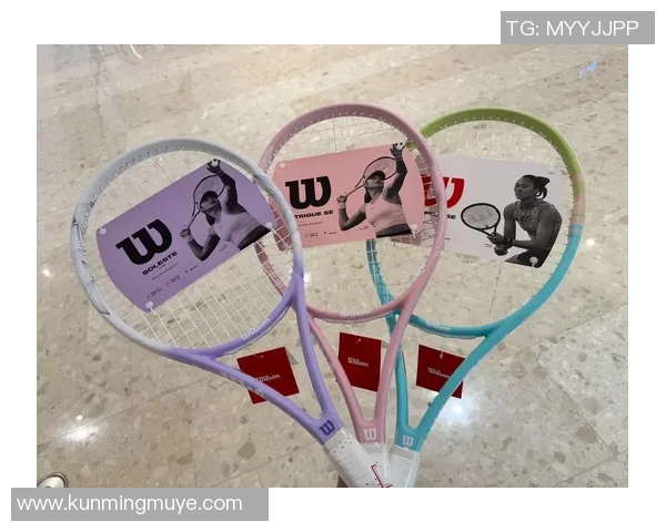 网球新手必看：全面掌握状态入门技巧与训练方法指南